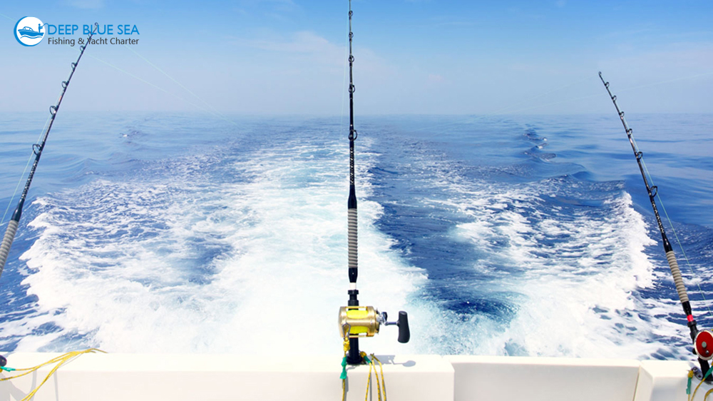 Fishing in Dubai