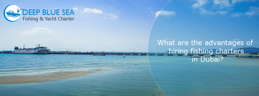 fishing boats in Dubai