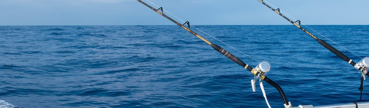 fishing-in-dubai